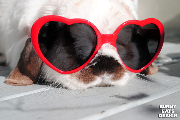 tofu-heart-sunglasses-web