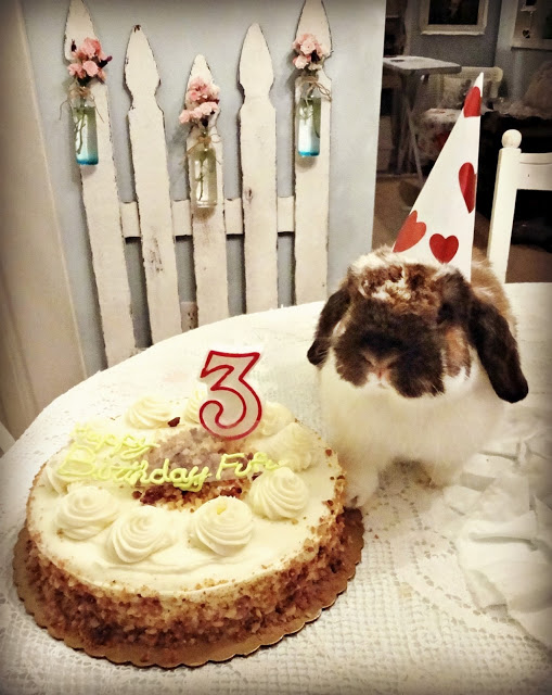 birthday-buns14