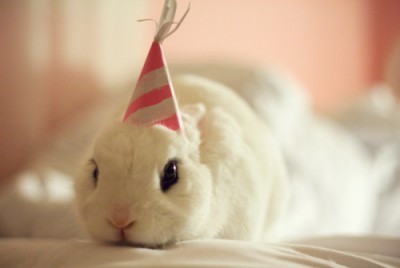 birthday-buns18