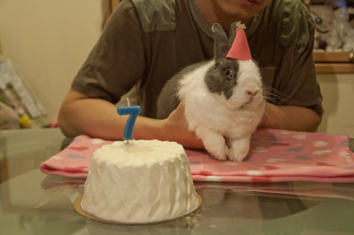 birthday-buns24